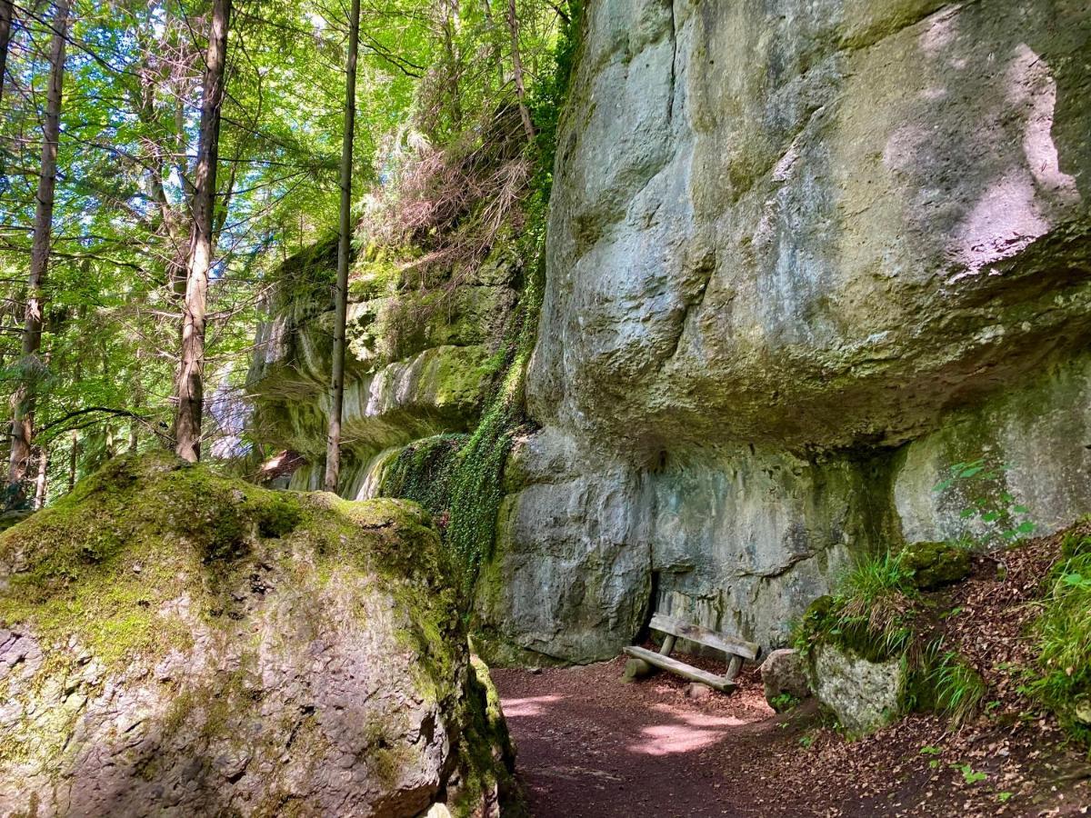 Schonwald  Ferienwohnung Oxana Im Naturpark Fichtelgebirge מראה חיצוני תמונה