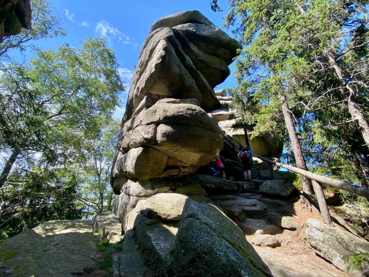 Schonwald  Ferienwohnung Oxana Im Naturpark Fichtelgebirge מראה חיצוני תמונה